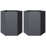 vidaXL Jardinières 2 Pièces anthracite hexagone 46x40x45 cm acier