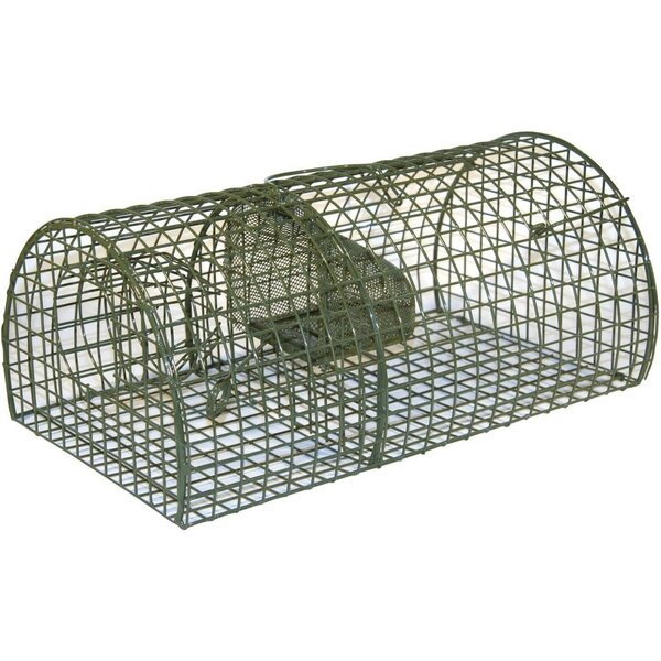 Nasse à rats alive multi rat