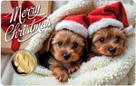 Pièce de monnaie en Or 3000 Francs g 0.031 (1/1000 oz) Millésime 2024 Gold Gift CHRISTMAS DOG 1/1000