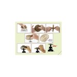 100 spirales d'encens naturel anti-moustiques 7h