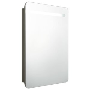 vidaXL Armoire de salle de bain à miroir LED anthracite 60x11x80 cm