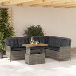 vidaXL Salon de jardin 2 Pièces avec coussins Gris Résine tressée