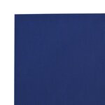vidaXL Bâche bleu 1 5x2 m 650 g/m²