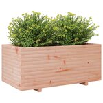 vidaXL Jardinière 110x60x49 5 cm bois massif de douglas