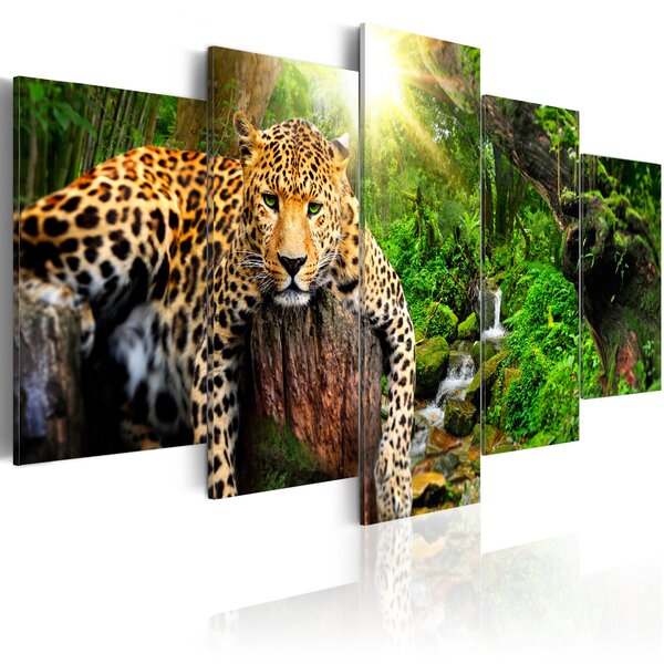 Tableau - predator's relaxation l x h en cm 200x100