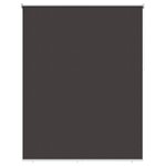 vidaXL Store roulant extérieur protection UV Anthracite Polyester