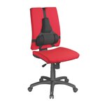 Support dorsal Premium noir - Fellowes