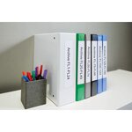 DYMO LabelWriter Boite de 1 rouleau de 110 étiquettes blanches Classeur dos étroit 38mm x 190mm