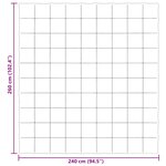 vidaXL Duvet d'hiver 240 x 260 cm Hiver Microfibre (100  polyester)