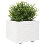 vidaXL Jardinière blanc 60x60x49 5 cm bois de pin massif