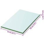 vidaXL Panneaux d'étagère 2 Pièces Verre Transparent 20 x 12 cm