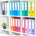 EXACOMPTA - Classeur a levier extra large - Dos 80mm -24,2 x 29,7 - Rembordé polypropylene - Bleu