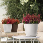 LECHUZA Jardinière CLASSICO Color 21 ALL-IN-ONE Blanc