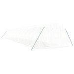 vidaXL Serre avec cadre en acier blanc 48 m² 16x3x2 m