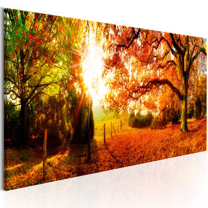 Tableau - magic of autumn l x h en cm 135x45