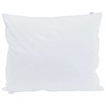 vidaXL Oreiller avec oreiller 2 Pièces Blanc 60 x 70 cm Plume