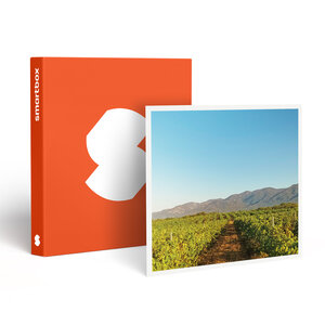 SMARTBOX - Coffret Cadeau Visite d’un domaine viticole près de Perpignan avec dégustation et 6 bouteilles offertes - Gastronomie