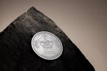 Pièce de monnaie en Argent 500 Togrog g 31.1 (1 oz) Millésime 2024 Evolution of Life AVES (PRÉCOMMANDE)