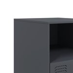 vidaXL Tables de chevet 2 Pièces anthracite 34 5x39x44 cm acier