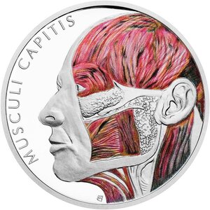 Monnaie HEAD MUSCLES Human Body 1 Oz Argent 1$ Niue 2025 (PRÉCOMMANDE)