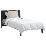 vidaXL Duvet d'été simple avec oreiller 2 Pièces Blanc Plume de canard