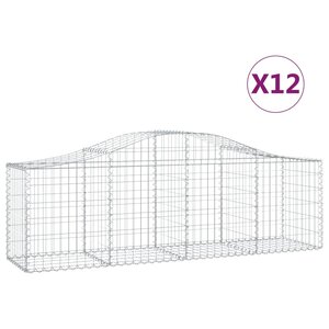 vidaXL Paniers à gabions arqués 12 Pièces 200x50x60/80 cm Fer galvanisé