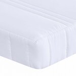 vidaXL Matelas en Mousse Extensible 80 x 200 cm Blanc