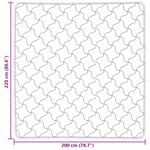 vidaXL Duvet d'hiver 200 x 220 cm Hiver Rose Respirant