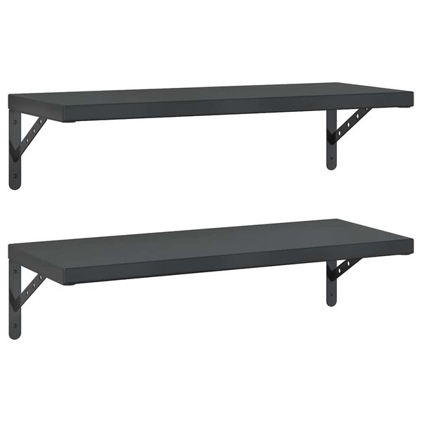 vidaXL Étagères murales 2 Pièces 75x30 cm noir acier inoxydable
