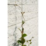 Nature Ensemble de treillis métallique pour plantes grimpantes 2 Pièces