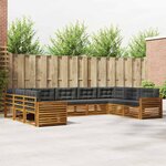 vidaXL Ensemble de canapés d'extérieur 9 Pièces Naturel et Anthracite