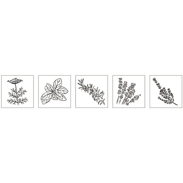 Kit mini-tampons en bois : Herbes aromatiques