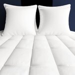 vidaXL Couette en duvet d'hiver 2 Pièces 140 x 200 cm