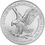 Pièce de monnaie en Argent 1 Dollar g 31.1 (1 oz) Millésime 2024 NUCLEAR INFERNO