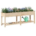 vidaXL Cache-pot de jardin avec étagère Beige 203.5 x 53 x 76.5 cm