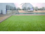 Gazon synthétique - " Green Lubeck 7  " -  1 x 5  m - 7 mm - Vert