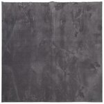 vidaXL Tapis HUARTE à poils courts doux lavable anthracite 160x160 cm