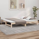 vidaXL Lit coulissant 2x(100x200) cm Bois de pin massif