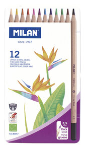 Crayons de couleur mine épaisse Ø 3 5 mm hexagonaux Boite métallique 12 pièces