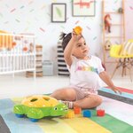 Dolu 6016 - Boîte de tri des tortues 5 pièces