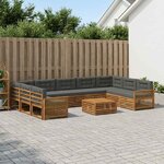 vidaXL Ensemble de canapés d'extérieur 10 pc Naturel et Anthracite