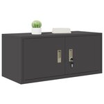 vidaXL Armoire de rangement Noir 90 x 40 x 40 cm Acier