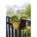 ELHO - Pot de fleurs -  Vibia Campana Flower Twin 21 - Jaune Miel - Balcon extérieur