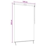 vidaXL Store enrouleur Gris clair 120 x 250 cm Tissu et Aluminium