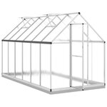 vidaXL Serre avec cadre de base argenté 334x169x202 cm aluminium