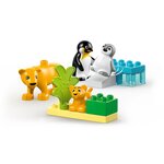 Lego 10442 - Duplo Familles d'animaux sauvages : pingouins et lions