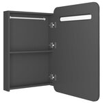 vidaXL Armoire de salle de bain à miroir LED gris 60x11x80 cm