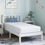 vidaXL Matelas Blanc et Bleu 80 x 160 cm Mousse à mémoire de gel