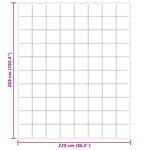 vidaXL Couette d'été 220 x 260 cm Été Microfibre (100  polyester)