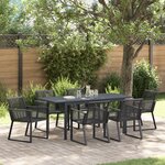vidaXL Ensemble de Salle à Manger de Jardin de 7 Pièces en Acier Noir et Poly Rattan